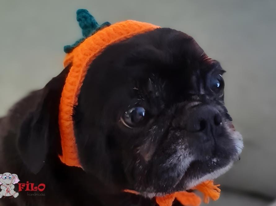 Pet Bereleri