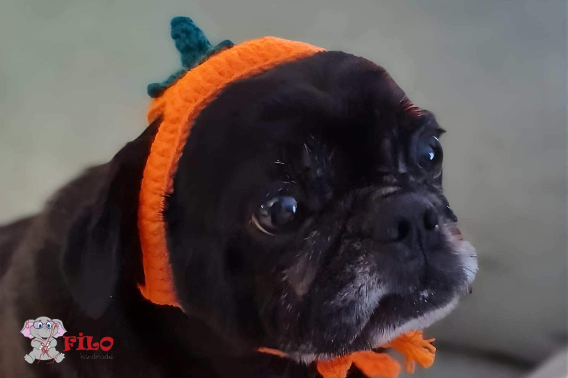 Pet Bereleri