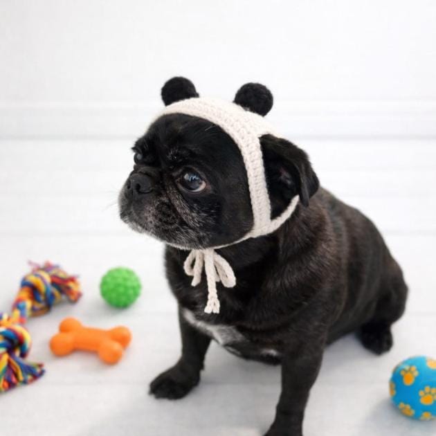 Panda Pet Bere