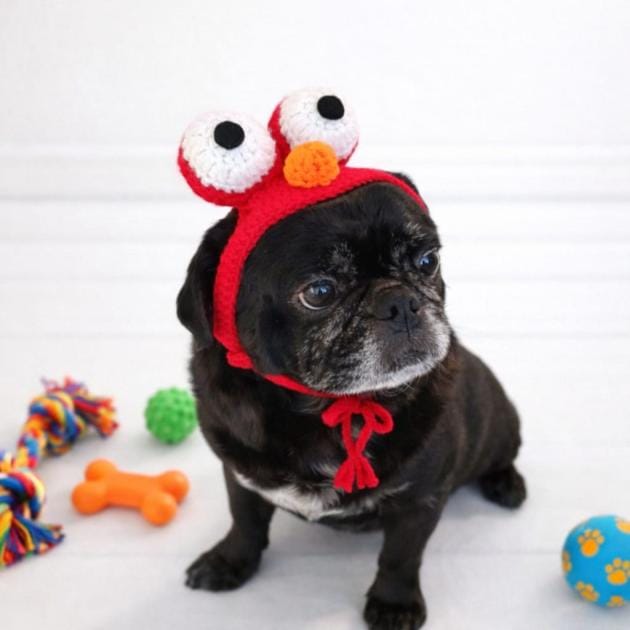 Elmo Pet Bere