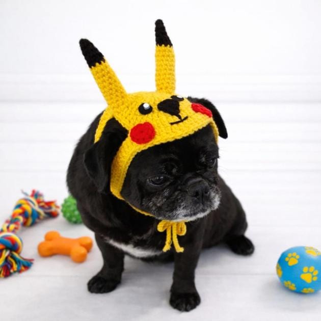 Pikachu Pet Bere