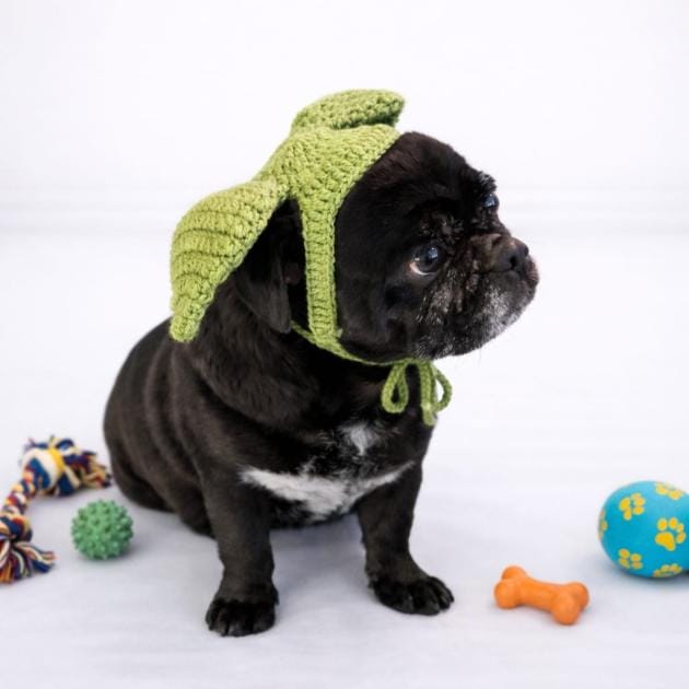 Yoda Pet Bere
