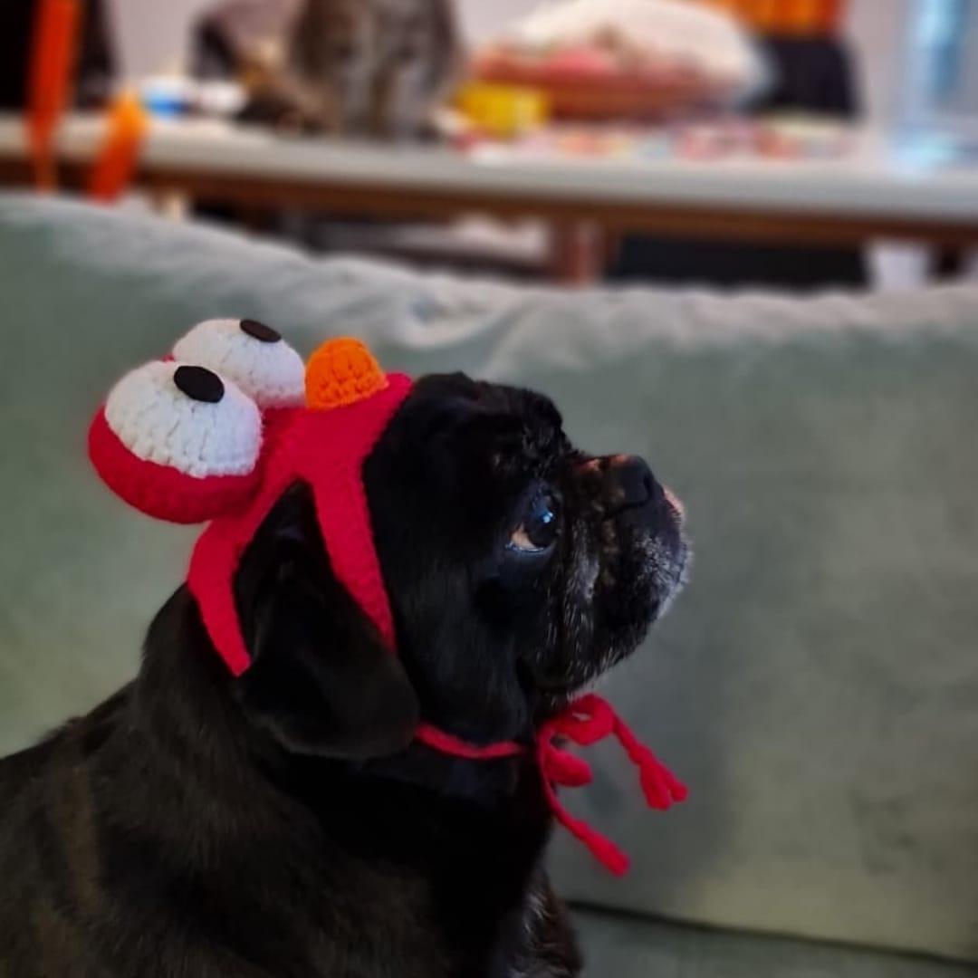 Elmo Pet Bere - Görsel 2