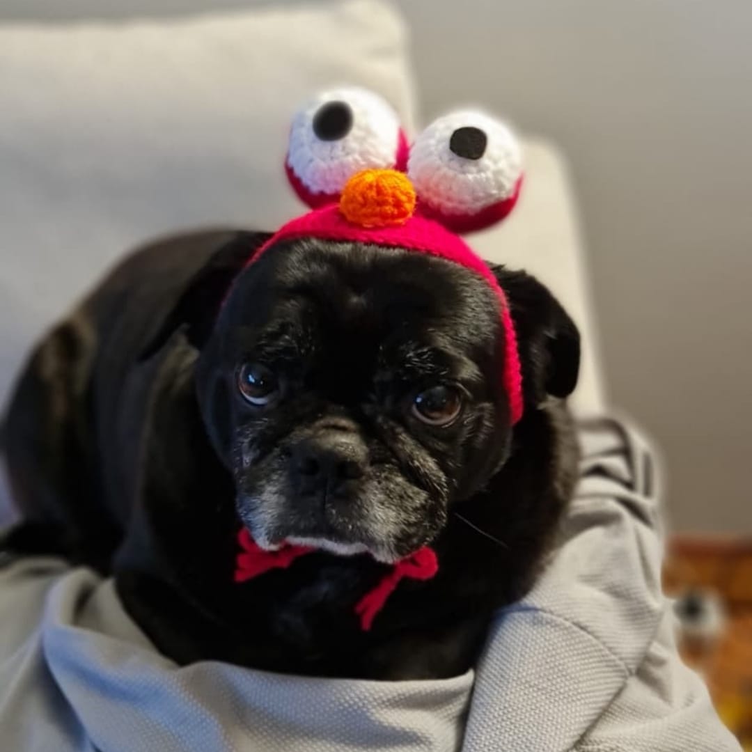 Elmo Pet Bere - Görsel 4