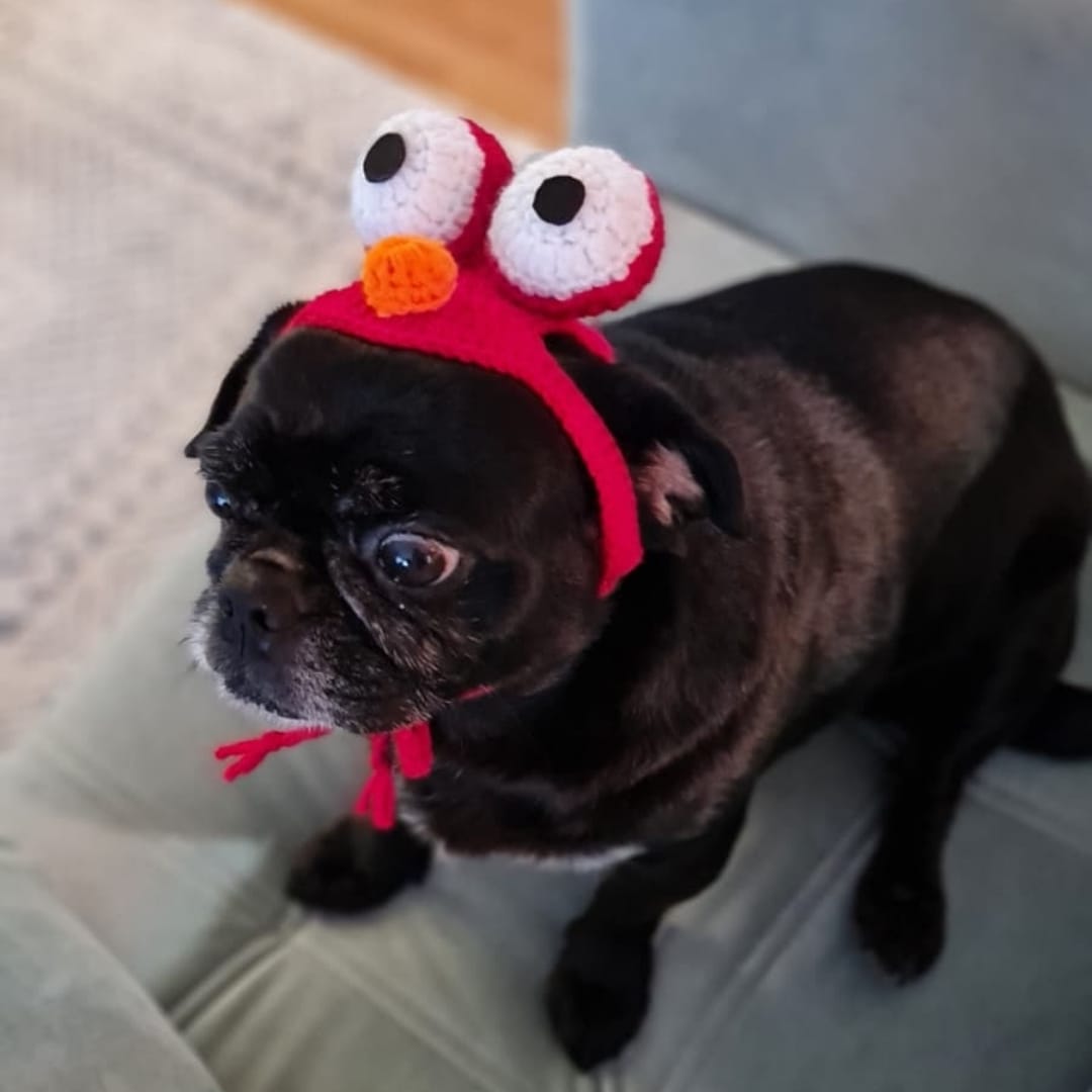 Elmo Pet Bere - Görsel 3