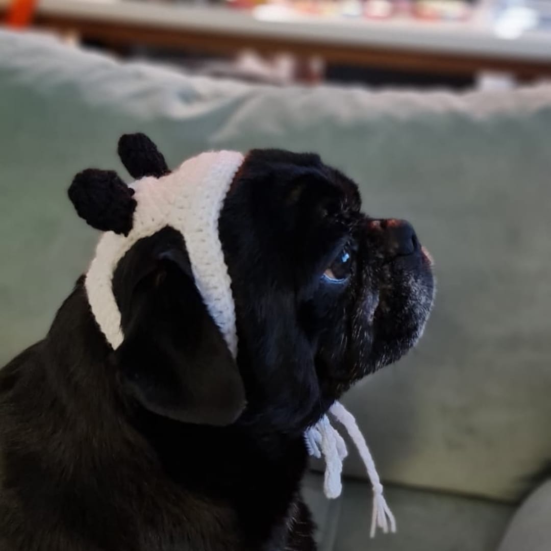 Panda Pet Bere - Görsel 2