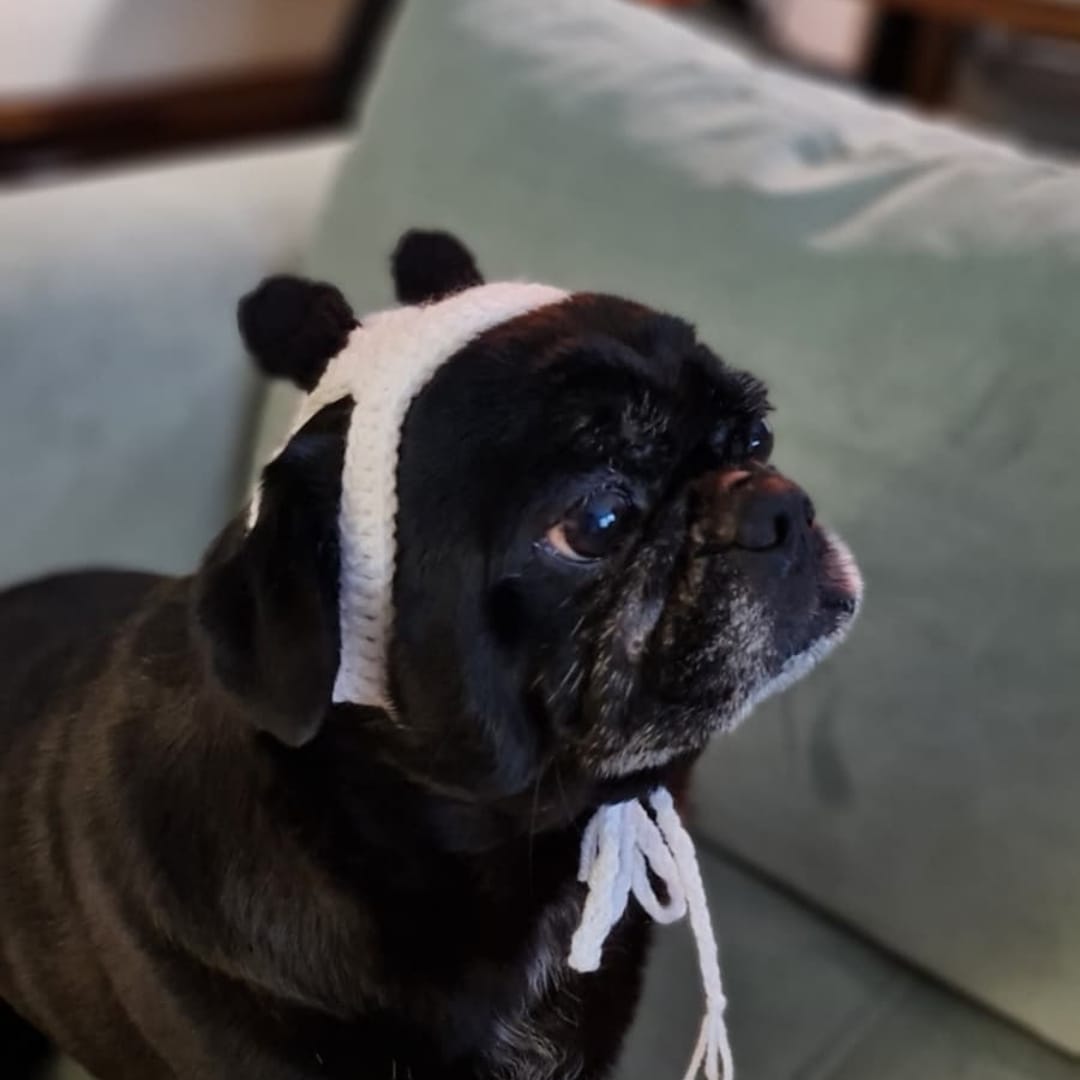 Panda Pet Bere - Görsel 4