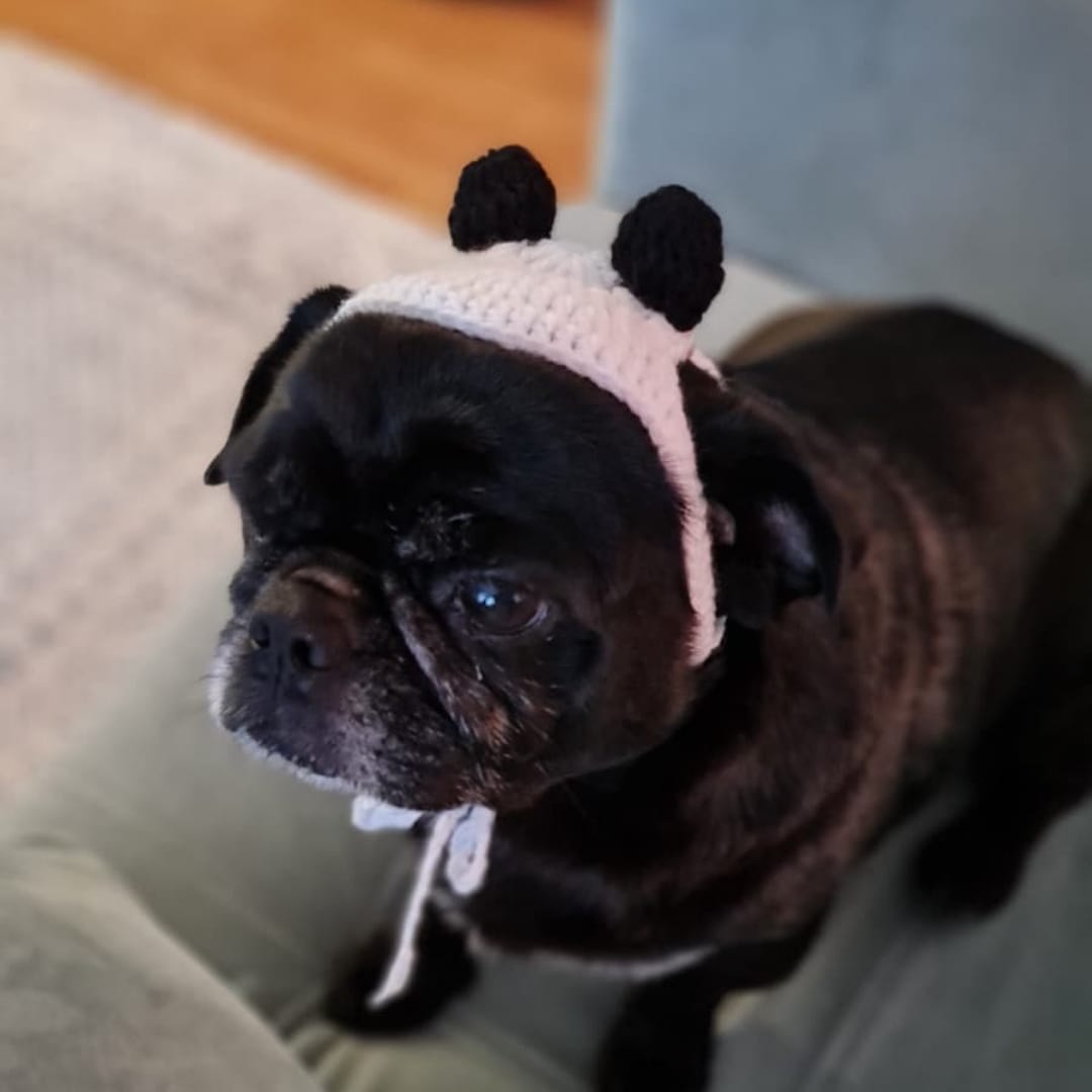 Panda Pet Bere - Görsel 3