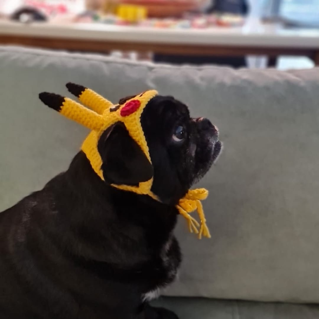 Pikachu Pet Bere - Görsel 2