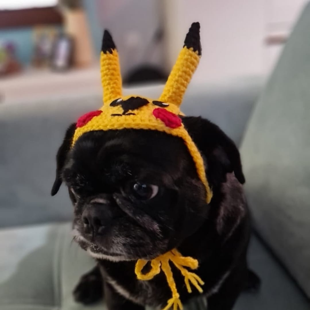 Pikachu Pet Bere - Görsel 4