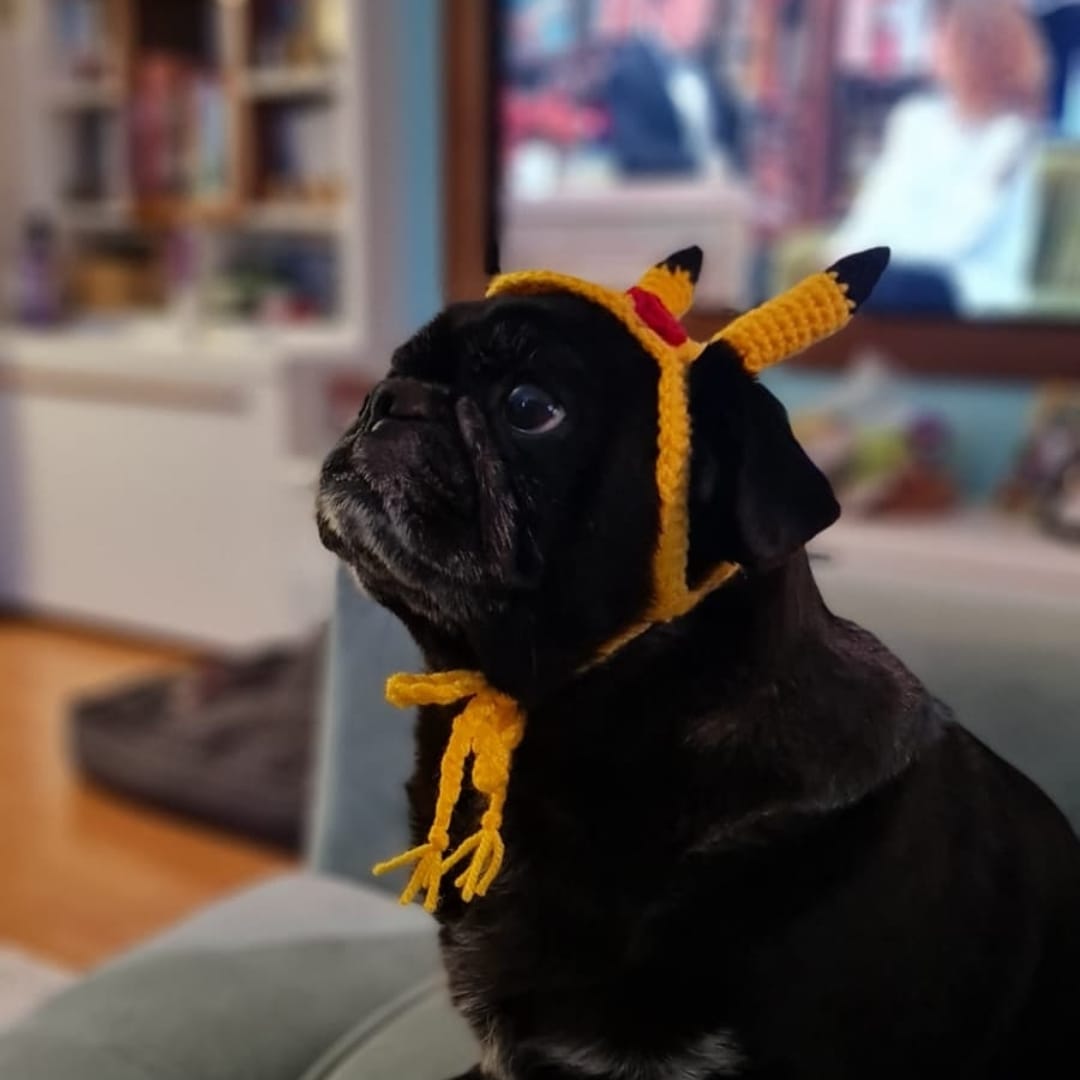Pikachu Pet Bere - Görsel 3
