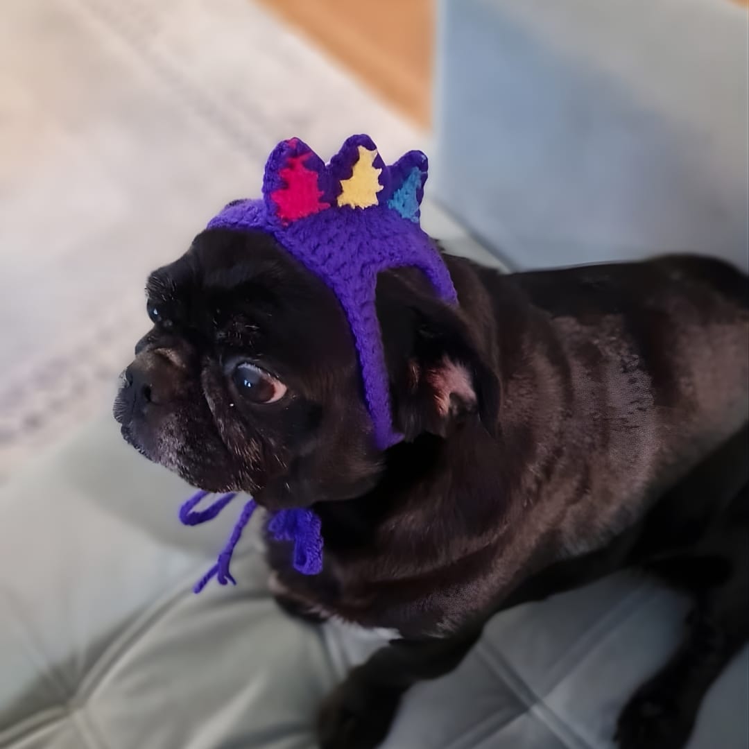 Spike Pet Bere - Görsel 2