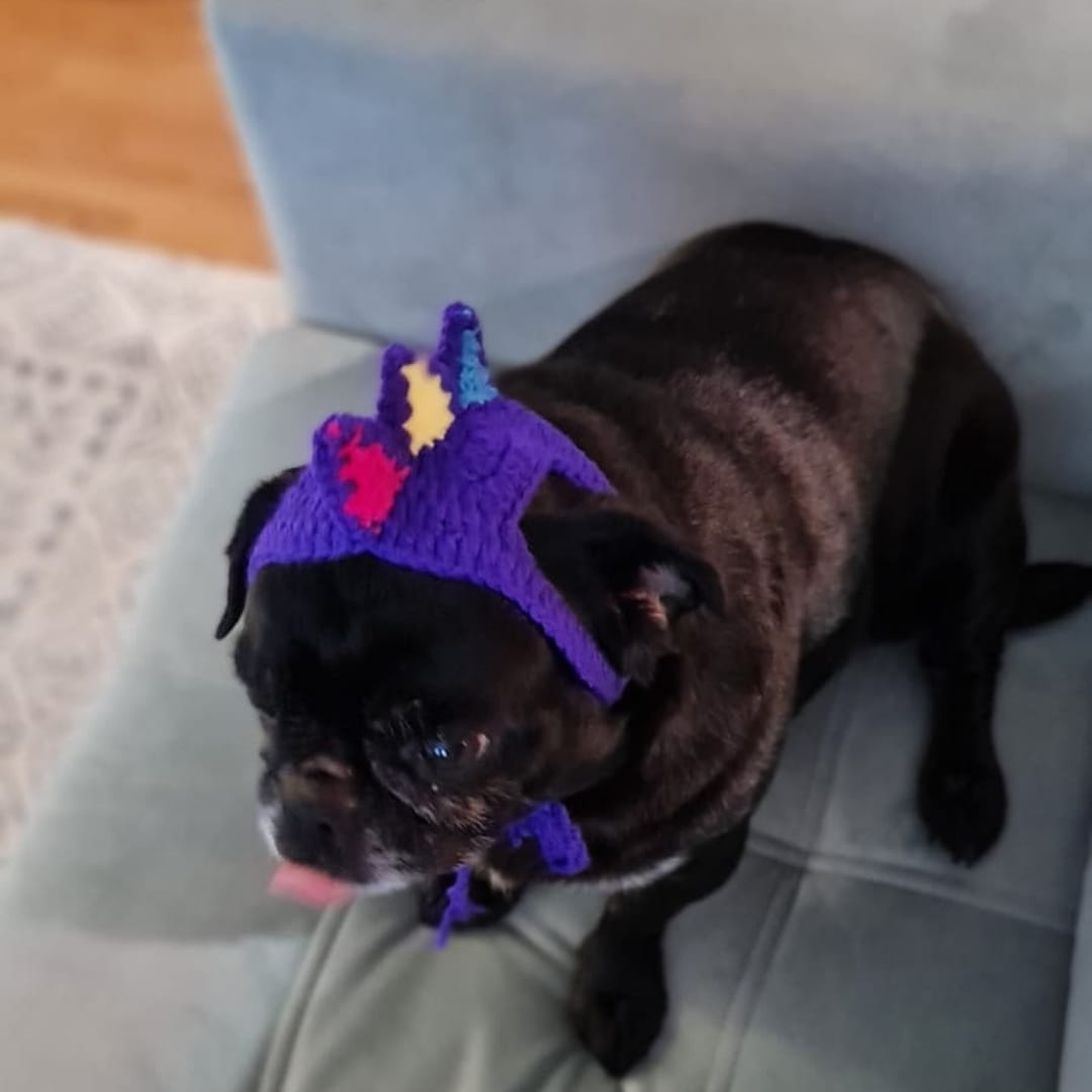 Spike Pet Bere - Görsel 4