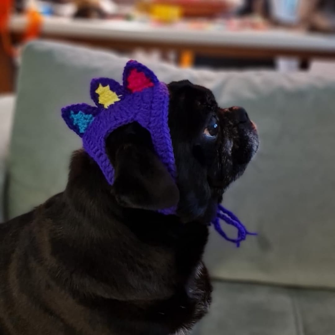 Spike Pet Bere - Görsel 3